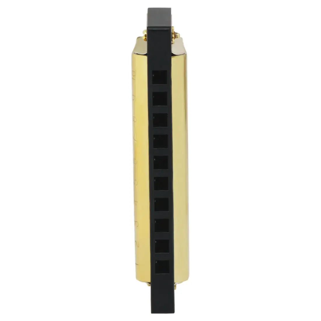 IRIN Harmonica 10 Hole 20 Tones Harmonica Mouth Organ Suitable For Music Enthusiasts Woodwind Instrument Harmonica Gifts