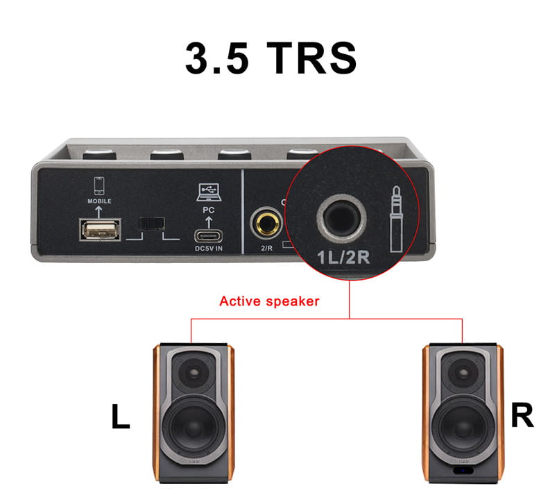 TEYUN Echo Effects 2 Input Audio Interface PC Studio Recording for Electric Guitar External Sound Card 48V Live Podcast Q-16