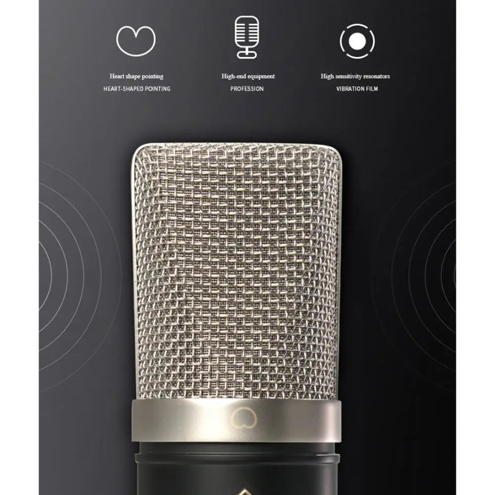 The New EXD EM900 professional condenser microphone is used in studios/recording studios/sound card live streaming /tiktok