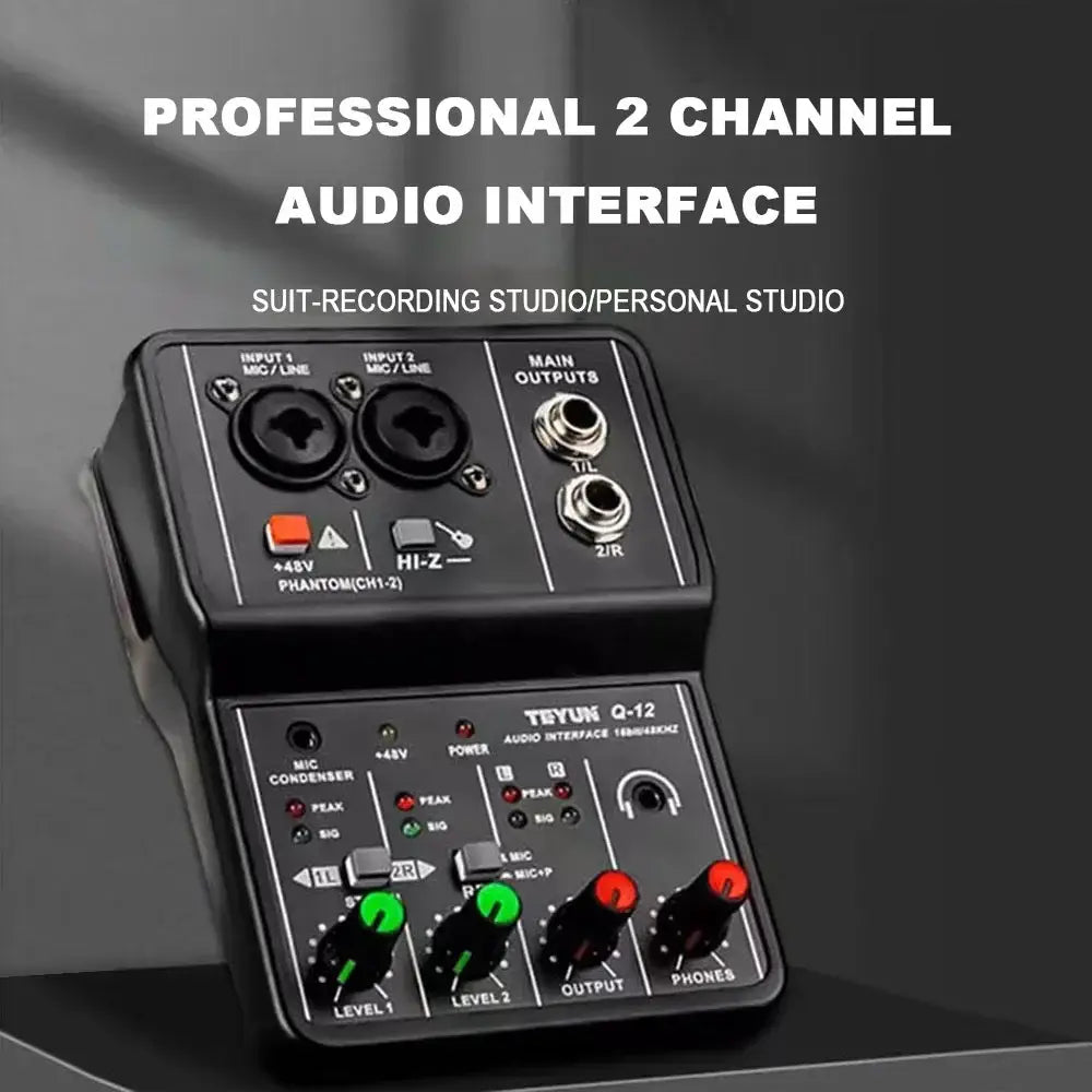 2 Channels Professional Portable Audio Interface Sound Card Console Mini USB MIXER for Guitar Recording Studio Singing TEYUN Q12