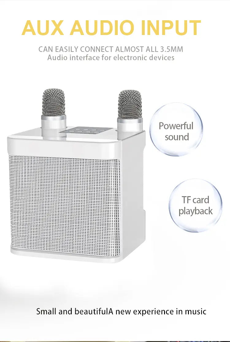 Karaoke Machine for Adults Portable Bluetooth Karaoke Microphone Singing Speaker Karaoke Player with 2 Wireless Mic Home Party