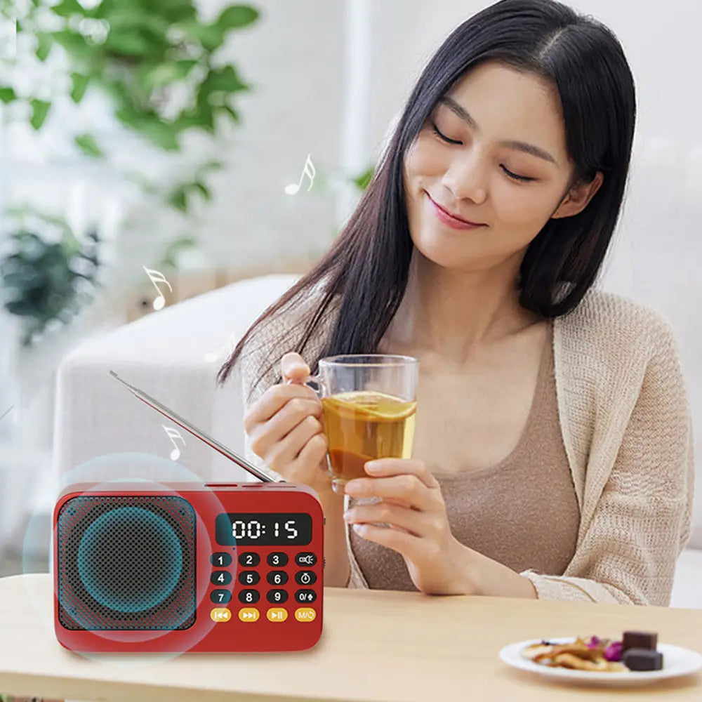 Handheld Rechargeable Digital FM USB TF MP3 Player Portable Radio Music Player Speaker Devices Supplies With LED Display Radio