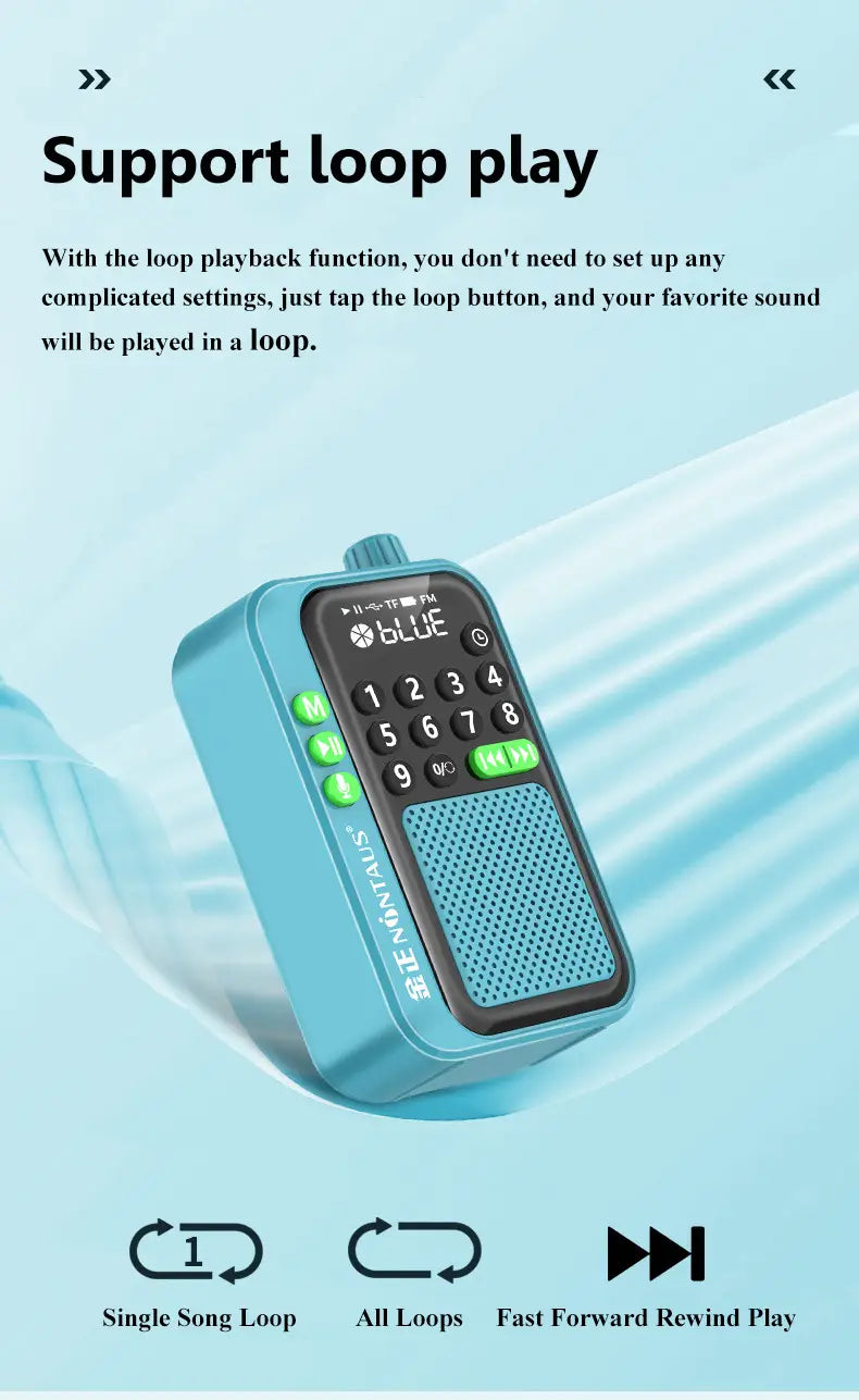 Mini Portable FM Radio Best Reception Radios 5W Wireless Bluetooth Speaker TF Card U Disk Music MP3 Player Support HD Rcording
