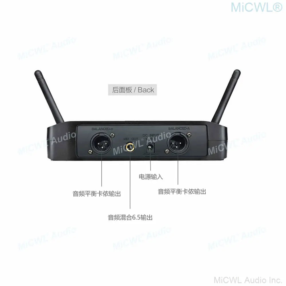High Quality 2 Channel Beta Wireless Microphone Karaoke System Dual 58 Handheld Dynamic Mic
