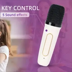 360 Stereo Surround Karaoke With Dual Microphone High Power Bluetooth Speaker Boombox Portable Waterproof Wireless Subwoofer