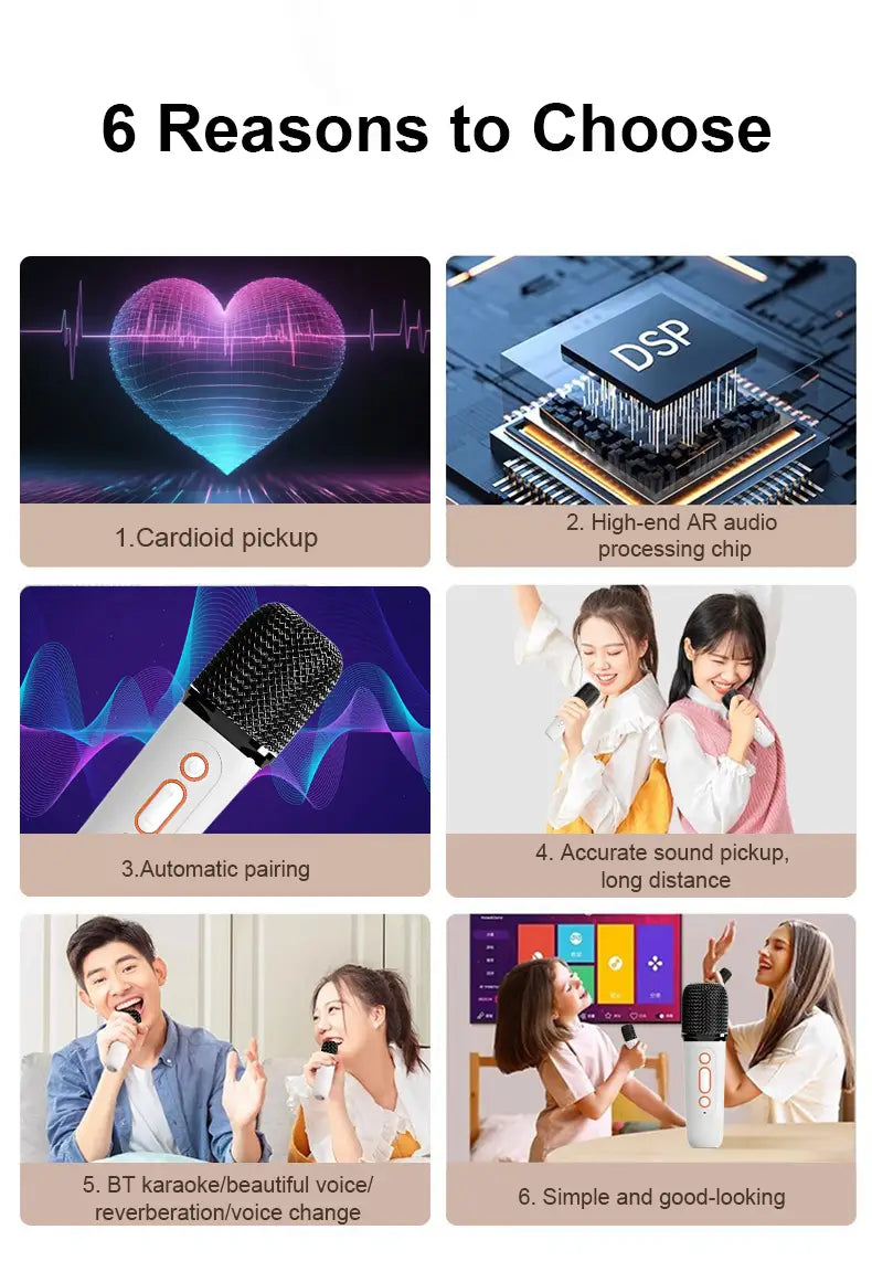 Portable Car Karaoke Machine Wireless Bluetooth KTV Speaker with Hands-Free Microphone for Android & iOS Phones