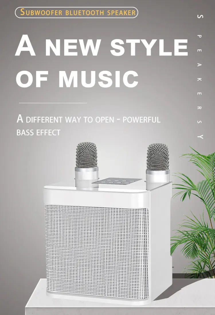 Karaoke Machine for Adults Portable Bluetooth Karaoke Microphone Singing Speaker Karaoke Player with 2 Wireless Mic Home Party