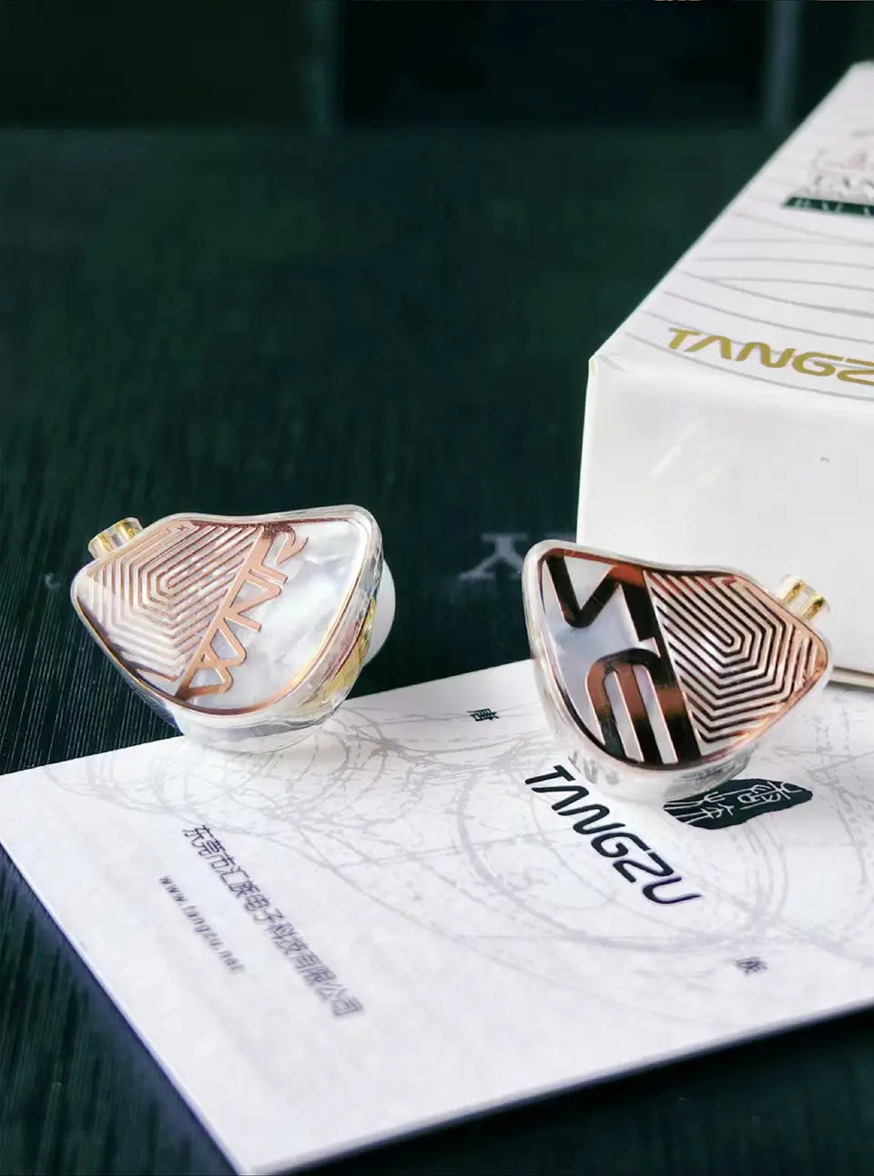 TANGZU WAN ER STUDIO Edition In Ear Monitors 10mm PET Diaphragm Dynamic Driver Replaceable 0.78mm 2Pin HiFi Wired Music Earphone