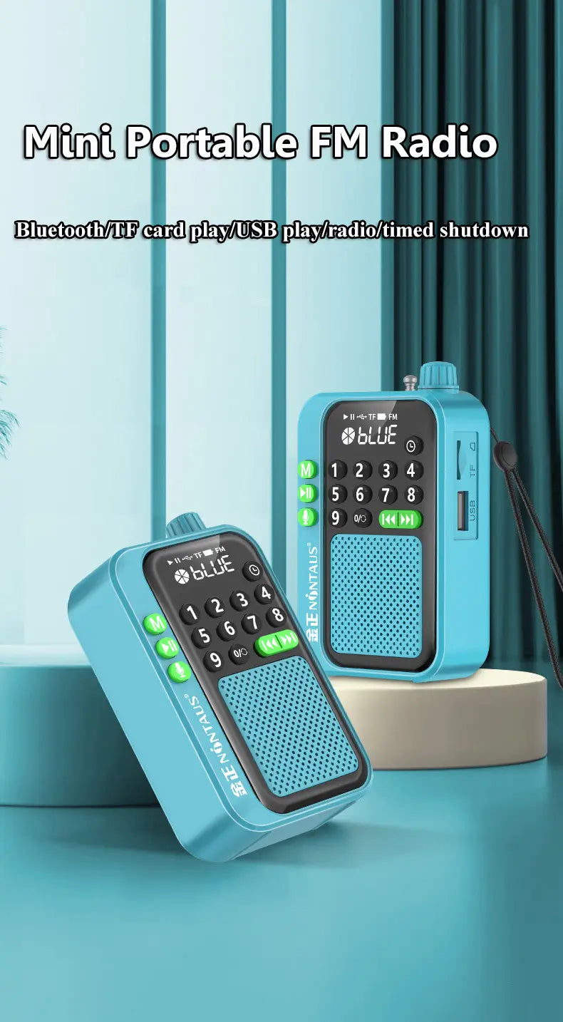 Mini Portable FM Radio Best Reception Radios 5W Wireless Bluetooth Speaker TF Card U Disk Music MP3 Player Support HD Rcording