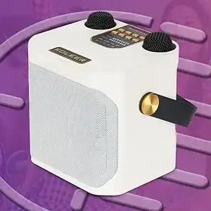 360 Stereo Surround Karaoke With Dual Microphone High Power Bluetooth Speaker Boombox Portable Waterproof Wireless Subwoofer