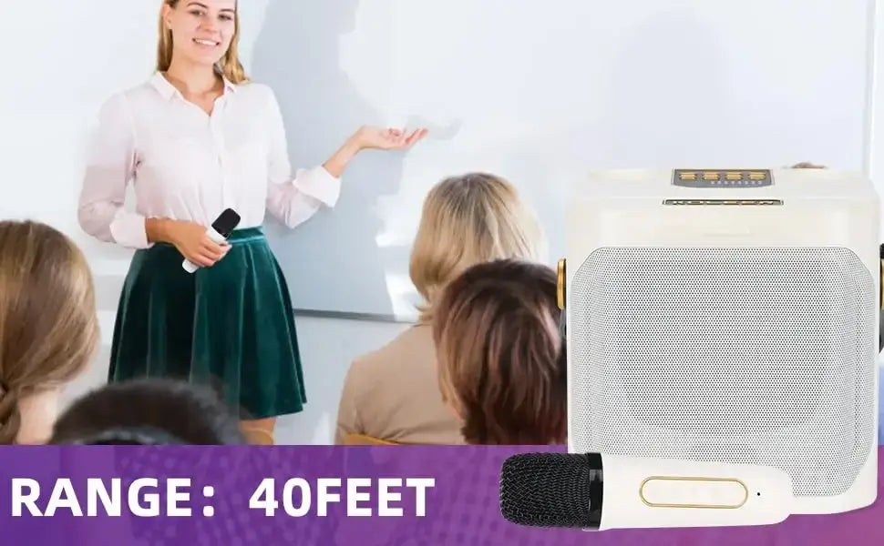 360 Stereo Surround Karaoke With Dual Microphone High Power Bluetooth Speaker Boombox Portable Waterproof Wireless Subwoofer