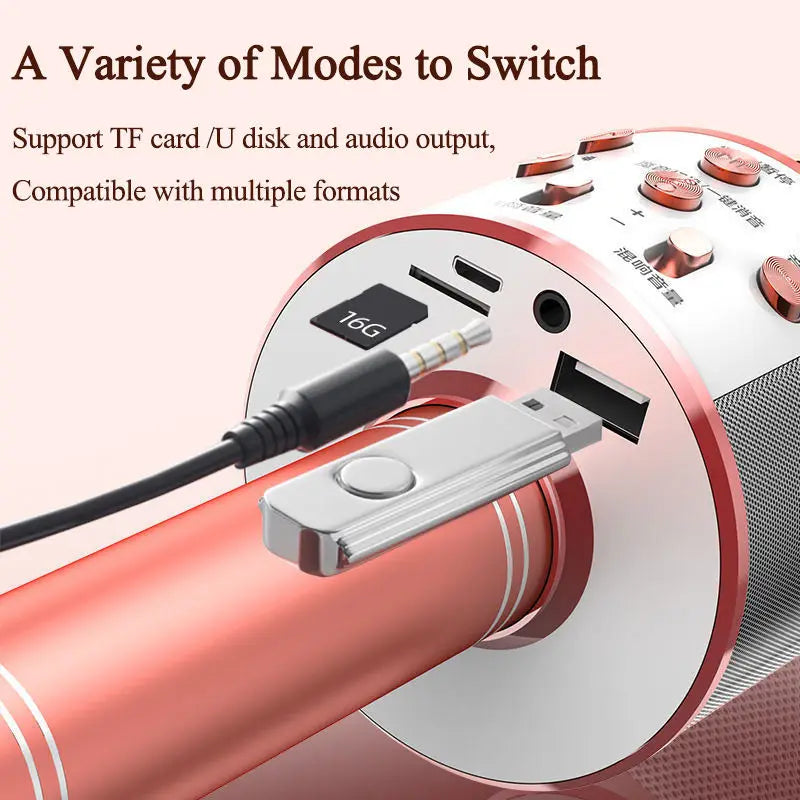 Karaoke Microphone for Kids & Adults Bluetooth Singing Mic Echo Effect Built-in Speaker Portable for Party Travel Gifts