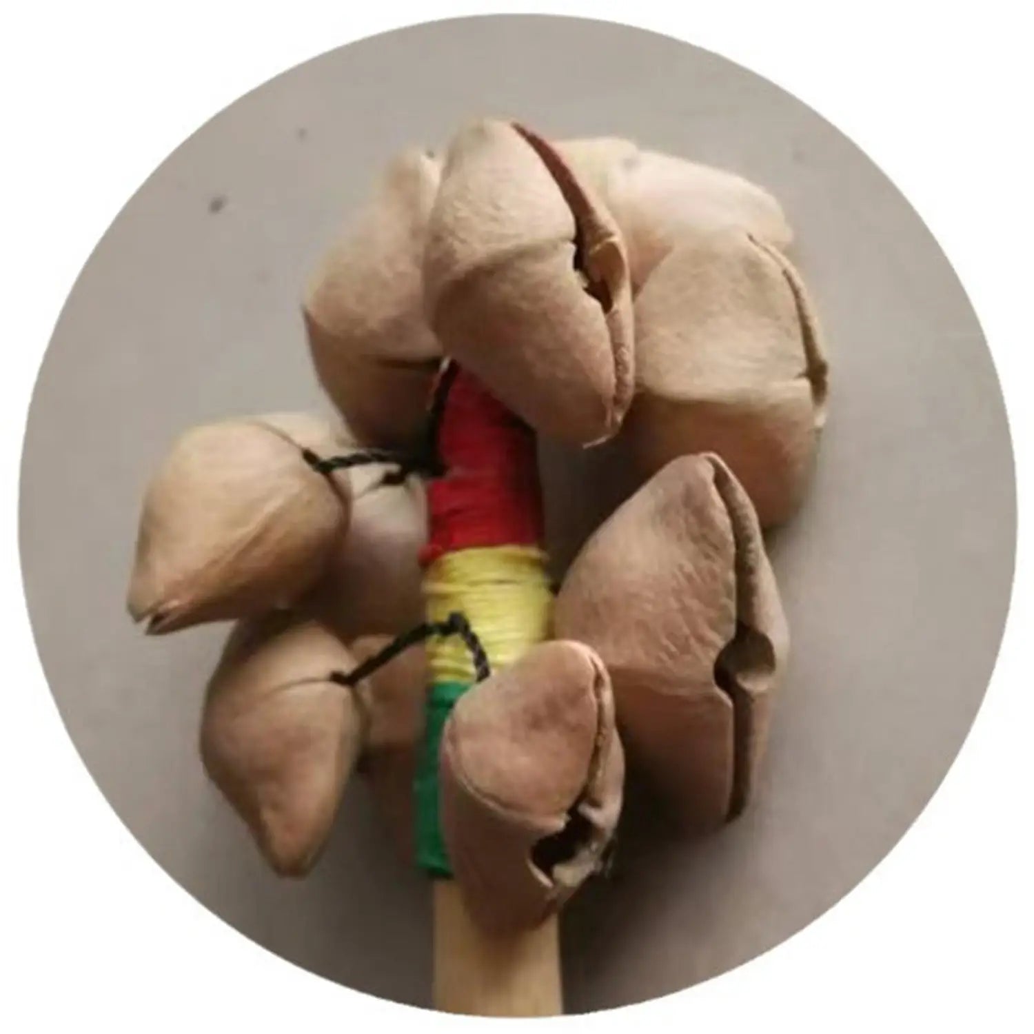 Handheld Nut Shell Shaker Musical Instrument Easy to Learn Compact Handmade Handheld Bell for Home Concert Parties Holiday Kids
