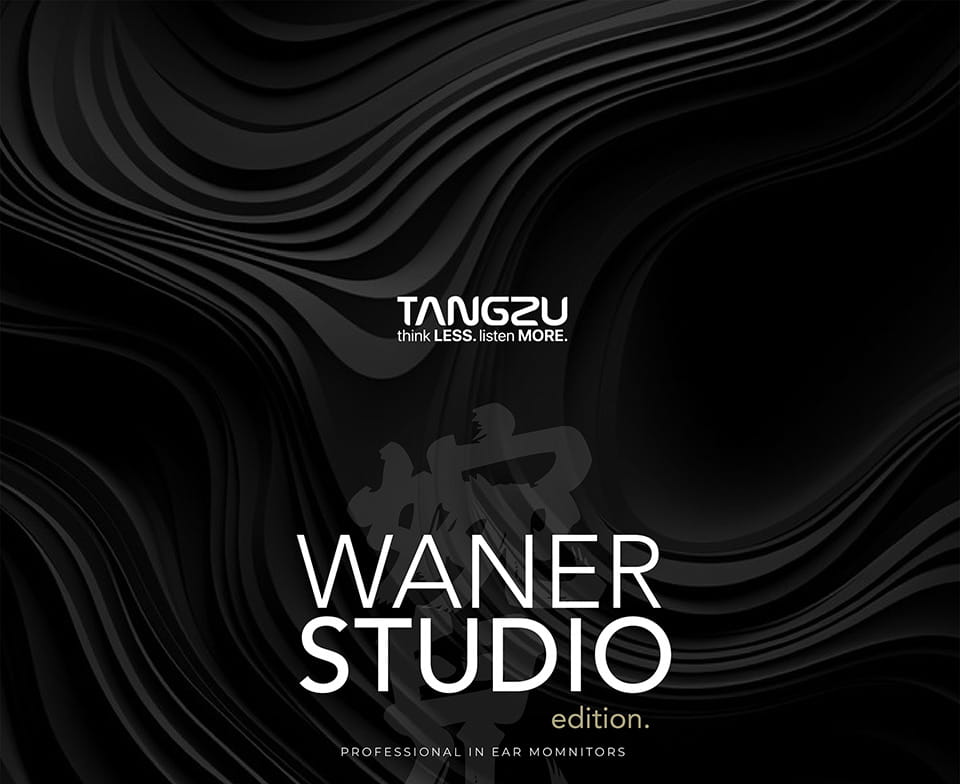 TANGZU WAN ER STUDIO Edition In Ear Monitors 10mm PET Diaphragm Dynamic Driver Replaceable 0.78mm 2Pin HiFi Wired Music Earphone