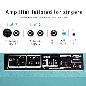 Coolmusic-Battery Powered Acoustic Guitar Amplifier Ukelele Portable Outdoor Smart Speaker with Microphone Rechargeable 80W