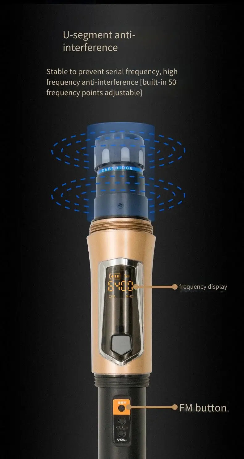 One Drive Two Wireless Microphone U-segment for Karaoke Stage Speeches Wedding Performance Hip Hop Live Broadcast