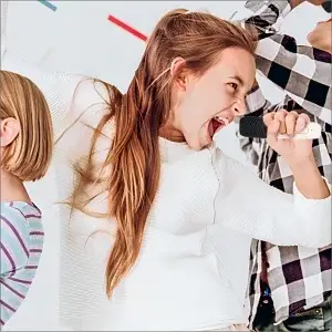 360 Stereo Surround Karaoke With Dual Microphone High Power Bluetooth Speaker Boombox Portable Waterproof Wireless Subwoofer
