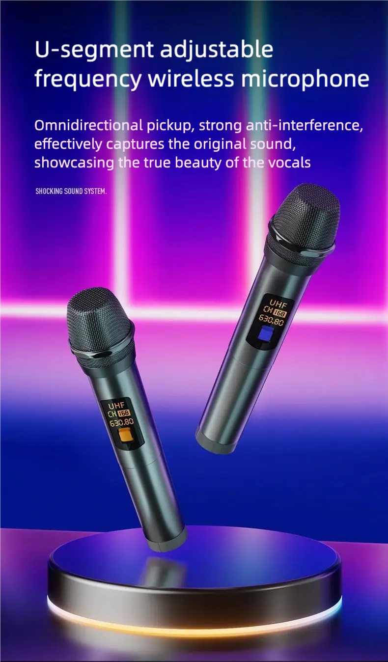 Portable Karaoke Machine with 2 Microphone Three Echo Levels Indoor and Outdoor Modes Deep Bass Supports AUX TF USB