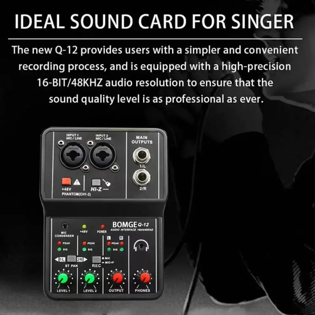 2 Channels Professional Audio Interface Sound Card Console Portable Mini USB MIXER for Guitar Recording Studio Singing TEYUN Q12