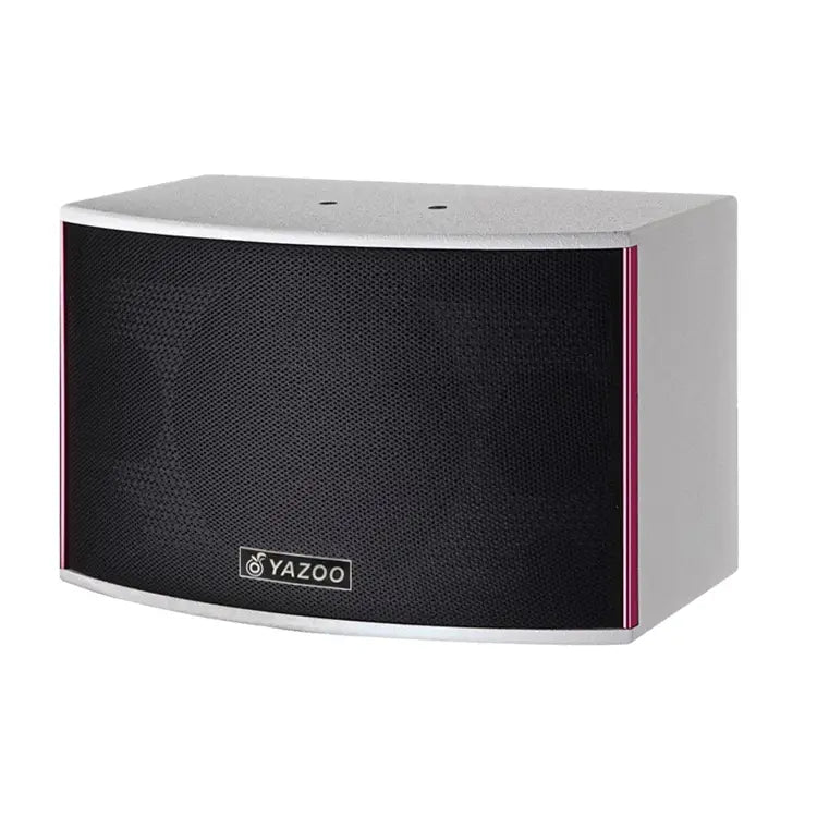 Karaoke Speaker 10inch Speaker Box for Disco