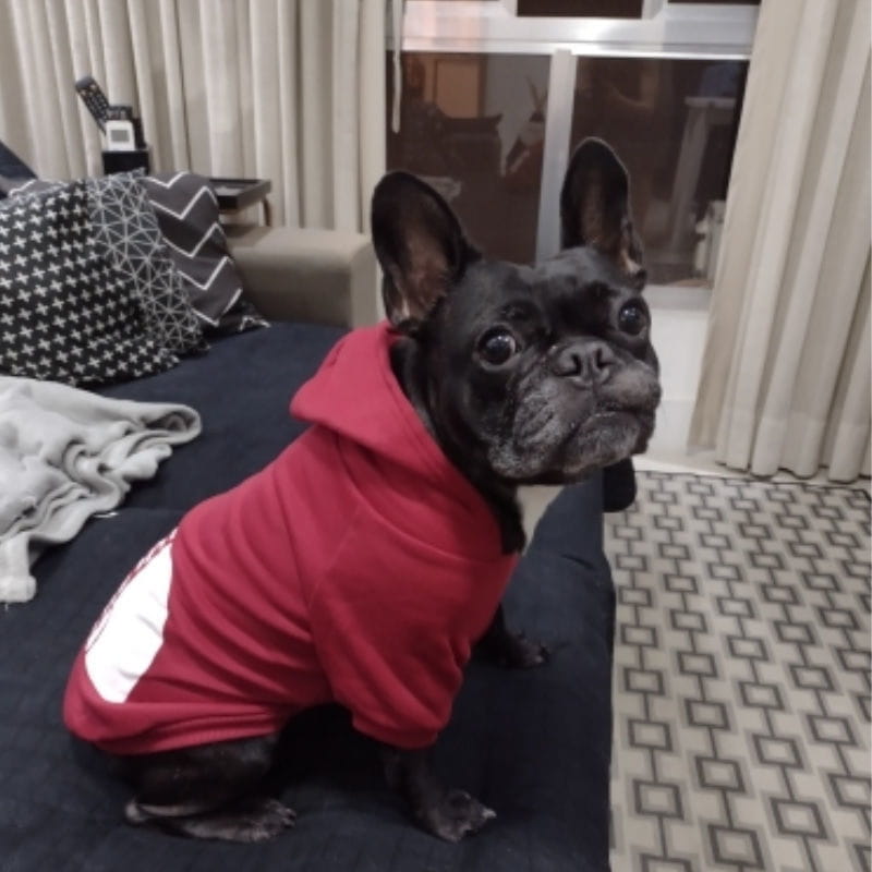 2026 Pet Hoodies Clothes Winter Warm Dog Hoodie Large Dog Clothing Dog Fans Fashion For Chihuahua French Bulldog Costume