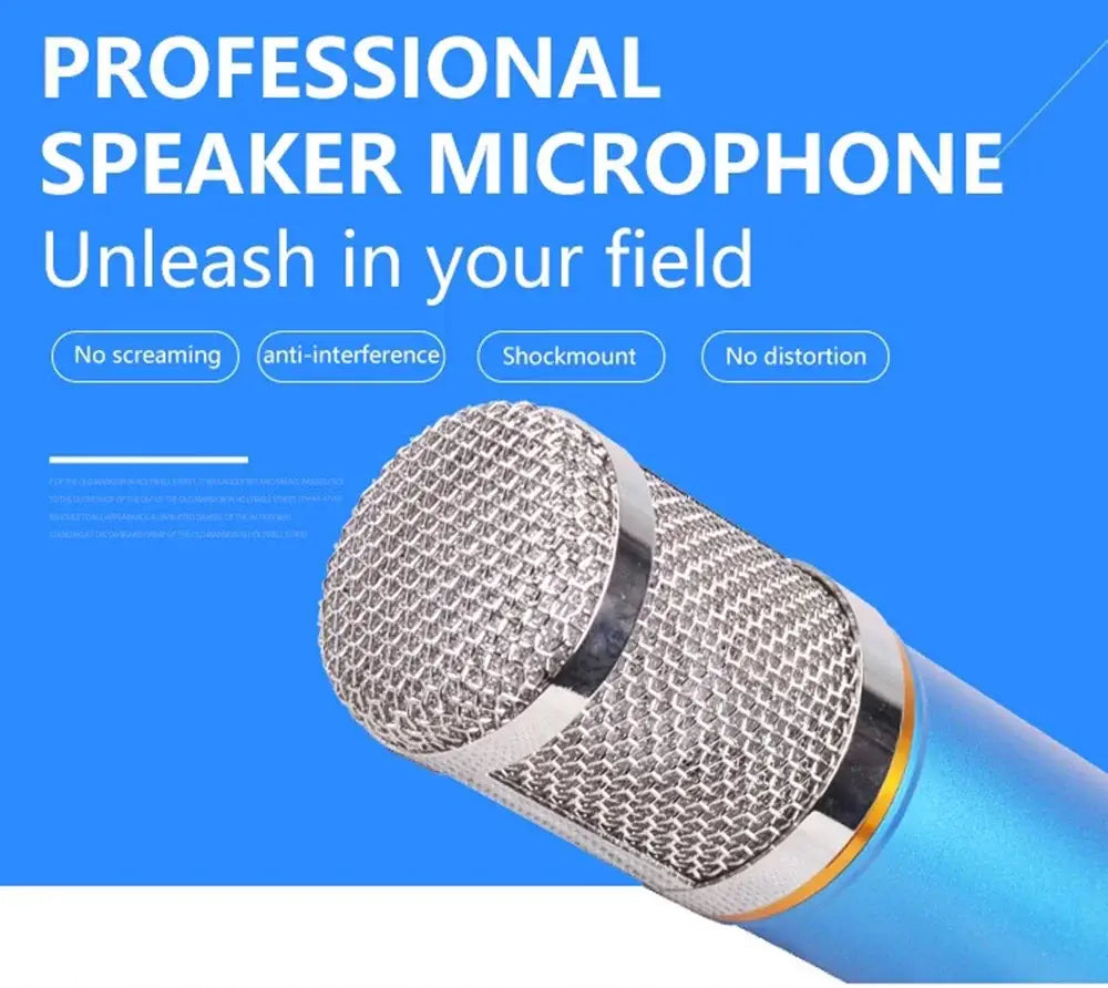 Professional BM 800 karaoke microphone BM800 studio condenser mikrofon mic bm-800 For KTV Radio Braodcasting Singing Recording
