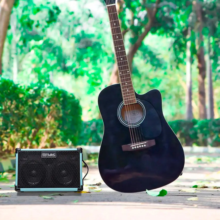 Coolmusic-Battery Powered Acoustic Guitar Amplifier Ukelele Portable Outdoor Smart Speaker with Microphone Rechargeable 80W