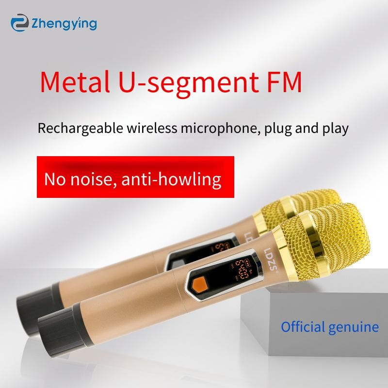 One Drive Two Wireless Microphone U-segment for Karaoke Stage Speeches Wedding Performance Hip Hop Live Broadcast