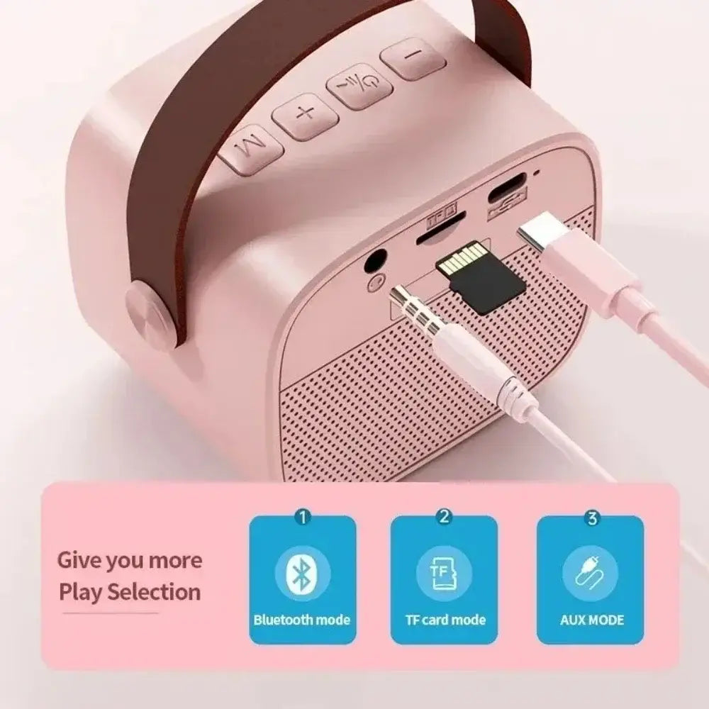 Karaoke Wireless Dual Microphones Machine KTV DSP System Bluetooth Speaker HIFI Stereo Surround For Kids And Adults Party Gift