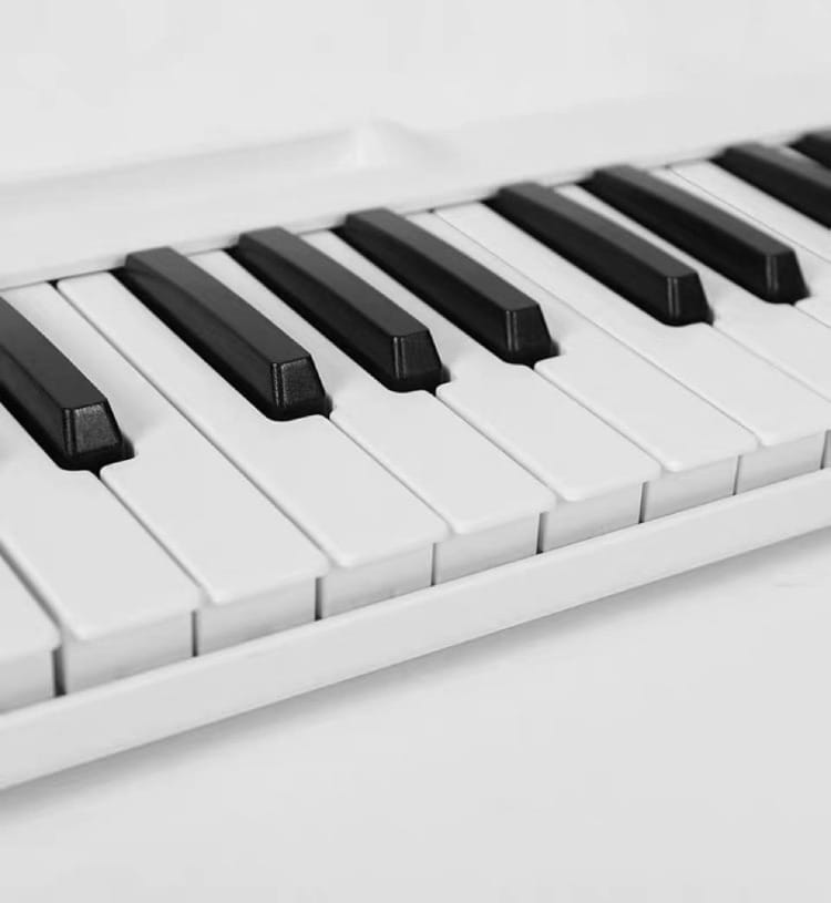 Portable Electronic Piano 88-key Digital Pianos Adult Musical Keyboard Beginners Midi Professional Kids Folding Electronic Organ