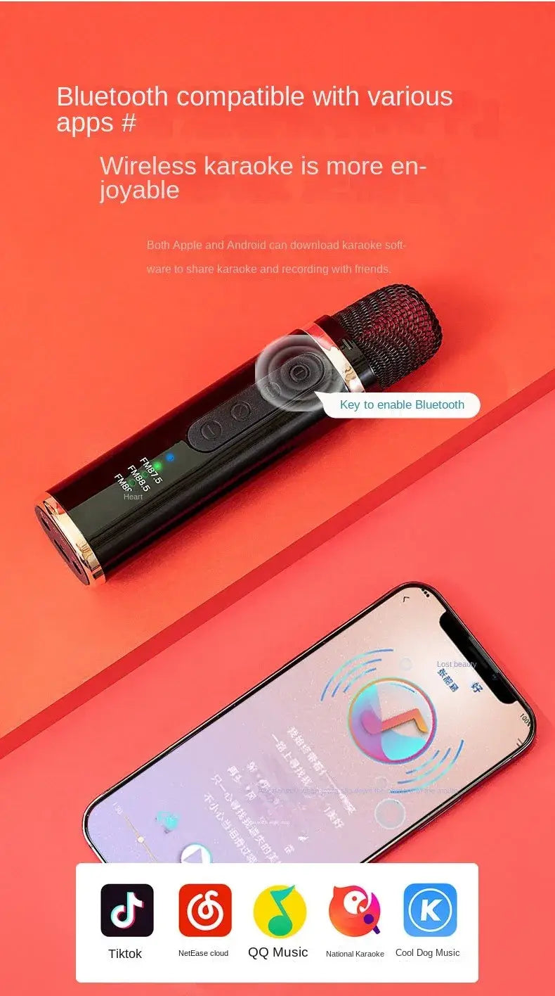 Portable Car Mini Bluetooth Karaoke Microphone Player Song Recording Live Broadcast Equipment FM Cars Wireless Mic