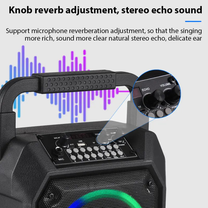 Wireless Musical Instrument Speakers Set Electronic Musical Instrument Accessories with 2 Microphone LED Color Light for Party