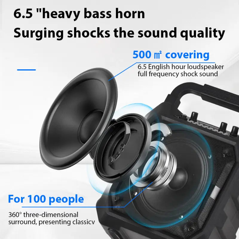 Wireless Musical Instrument Speakers Set Electronic Musical Instrument Accessories with 2 Microphone LED Color Light for Party