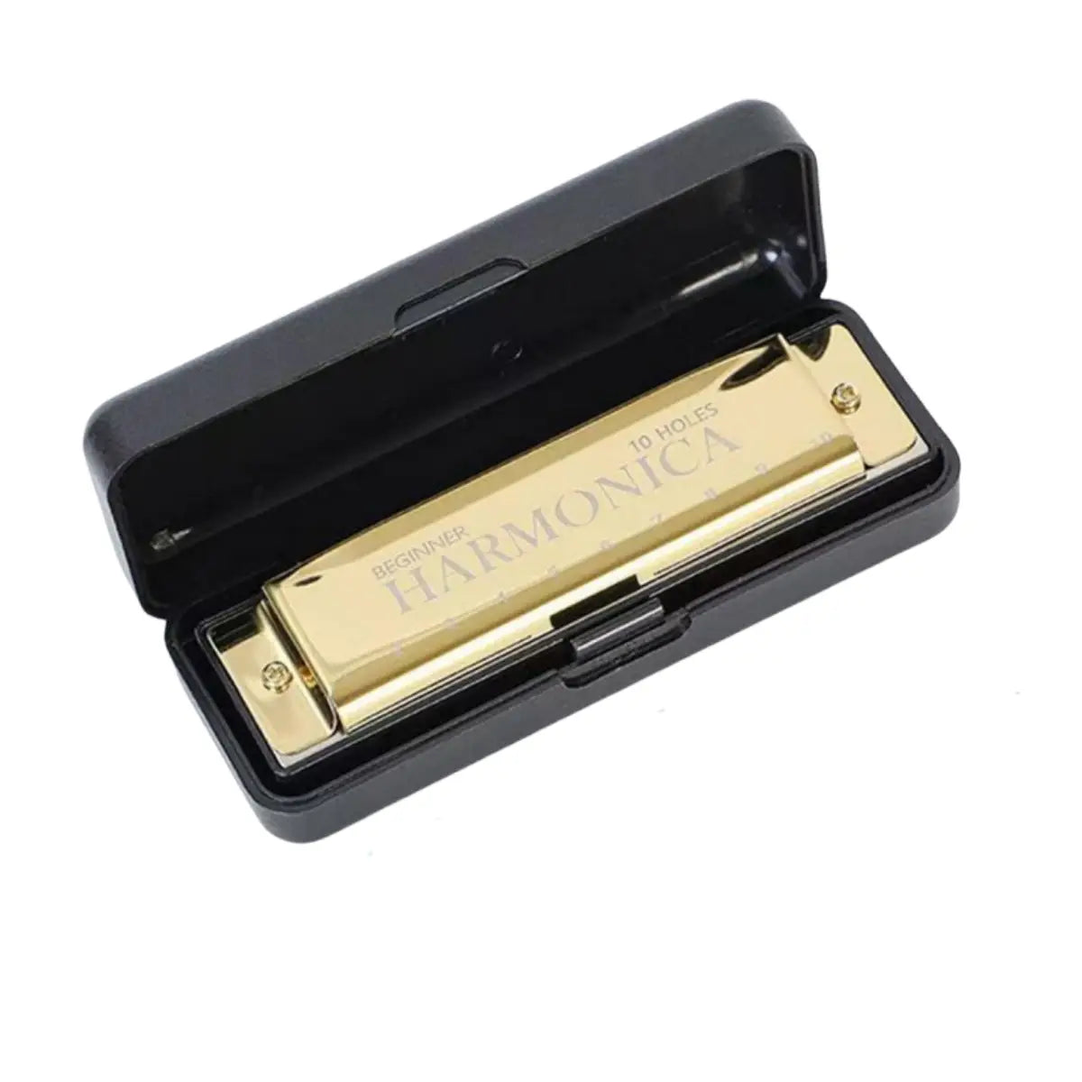 Harmonica 10 Holes Diatonic Key of C Blues Harp Mouth Organ Musical Instrument for Beginners Kids Adults with Storage Case
