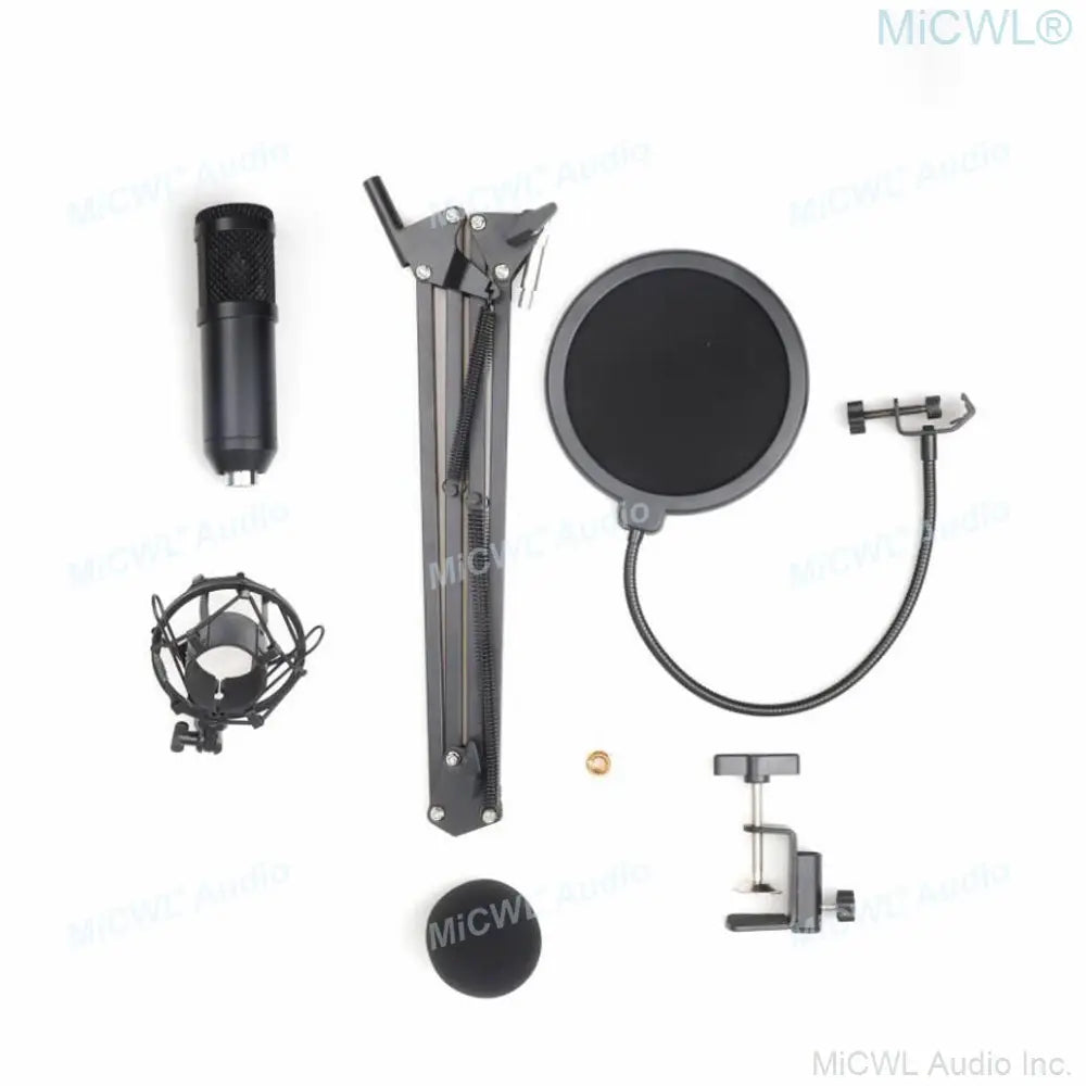 Pro Studio Condenser Recording Audio Microphone Microfone for Laptop Computer PC Sound Card Liver Sing Shock Mount Foam Cable