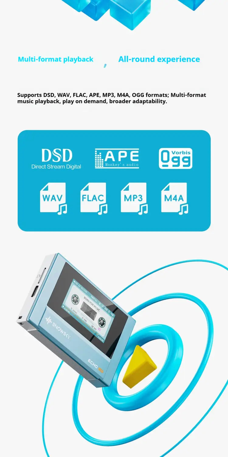 Fiio Snowsky Echo Mini Wireless Bluetooth Mp3 Mini Walkman 8GB Custom Support Dsd Retro Portable Bluetooth Player Music Gift Man