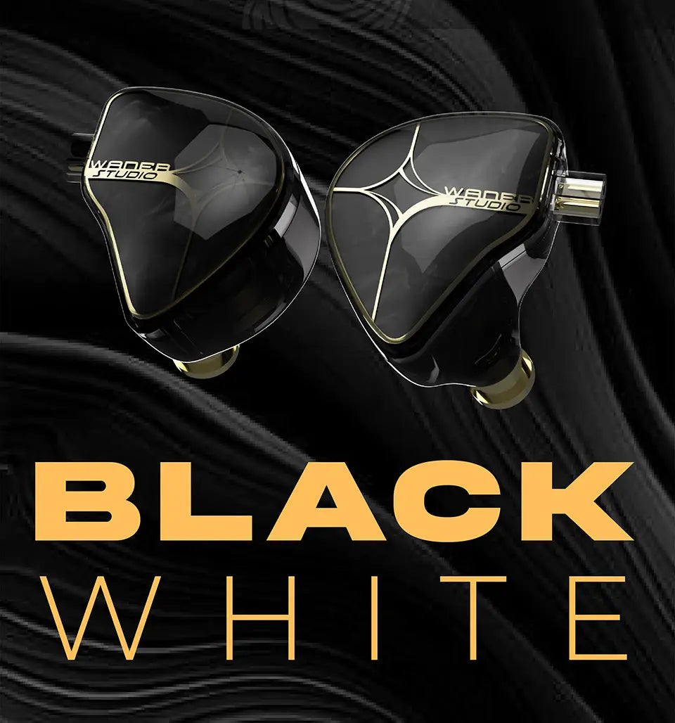 TANGZU WAN ER STUDIO Edition In Ear Monitors 10mm PET Diaphragm Dynamic Driver Replaceable 0.78mm 2Pin HiFi Wired Music Earphone