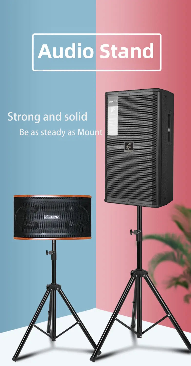Karaoke Speaker 10inch Speaker Box for Disco