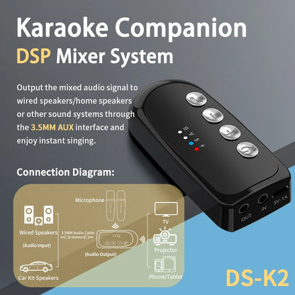 DS-K2 Karaoke Companion Bluetooth 5.3 Wireless Dynamic Microphones RGB Colorful Light Stereo DSP Mixer System For Wired Speaker