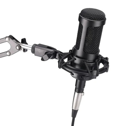 Black at2035 cardioid condenser microphone with mesh grille and shock mount on silver arm for advanced recording usb use