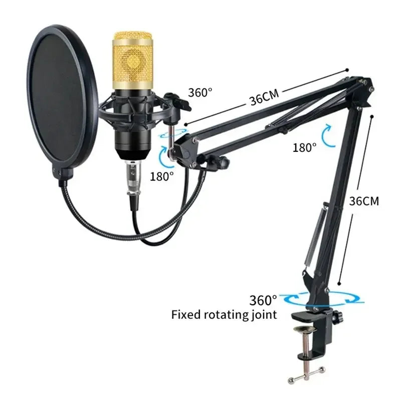 Black adjustable microphone stand with gold professional audio condenser bm800 v8 sound cardioid mic and pop filter