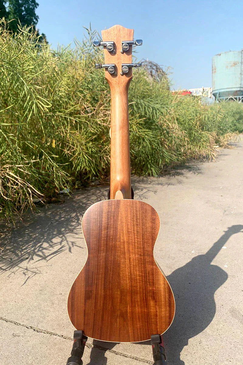 A polished 24 inch concert ukulele with laminated koa and rich brown finish from china leading ukulele brand aiersi