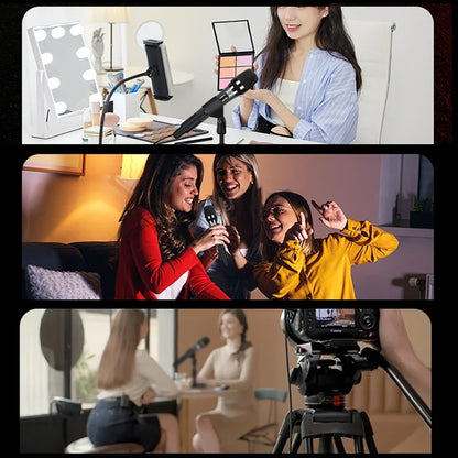 Black handheld microphone on stand with sound card effects and mic reverb connecting for equipment live use