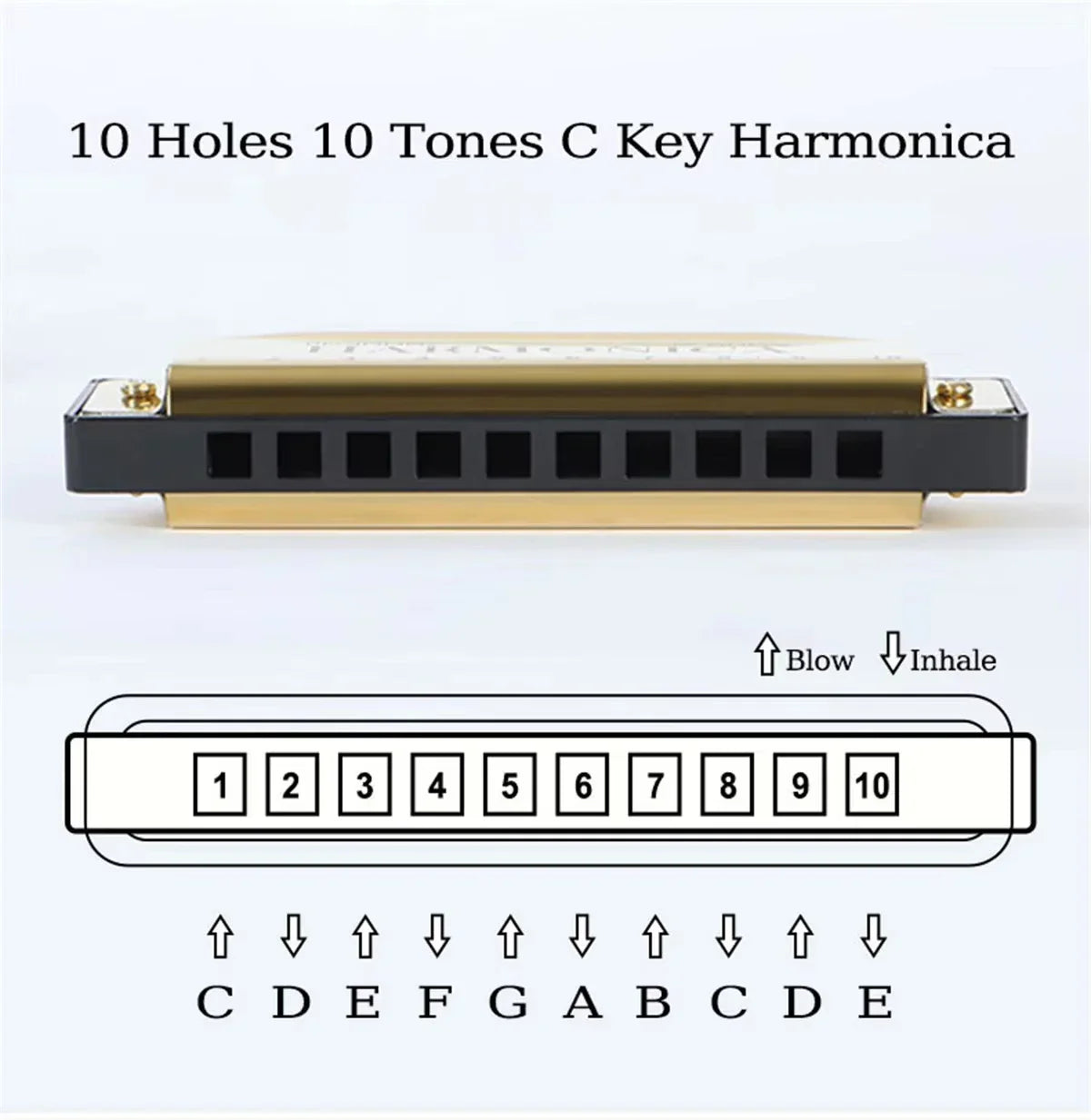 A sleek black and gold 10-hole diatonic key harmonica with polished metal finish blues harp mouth for beginners kids adults