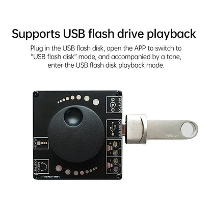 Black digital amplifier with central knob and labeled ports connected to silver 16gb usb in ap15h stereo input 12v 24v model