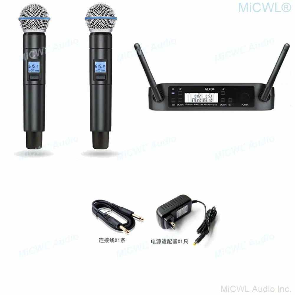 High quality black channel beta wireless microphone karaoke system with dual handheld dynamic mic and receiver unit