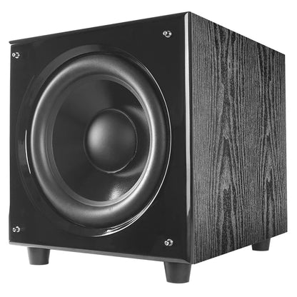 Black 10 inch high power subwoofer with wooden piano painting finish designed for type beat music use