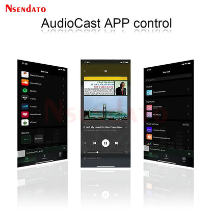 Audiocast pro e12p app interface showing music playback and source selection for ieast audiocast pro m20 wireless wifi audio receiver
