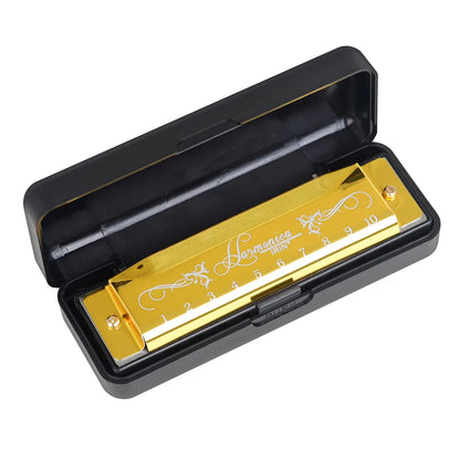 Golden hohner harmonica in a sleek black case with engraved floral designs and numbered keys colorful c key harmonica woodwind instrument