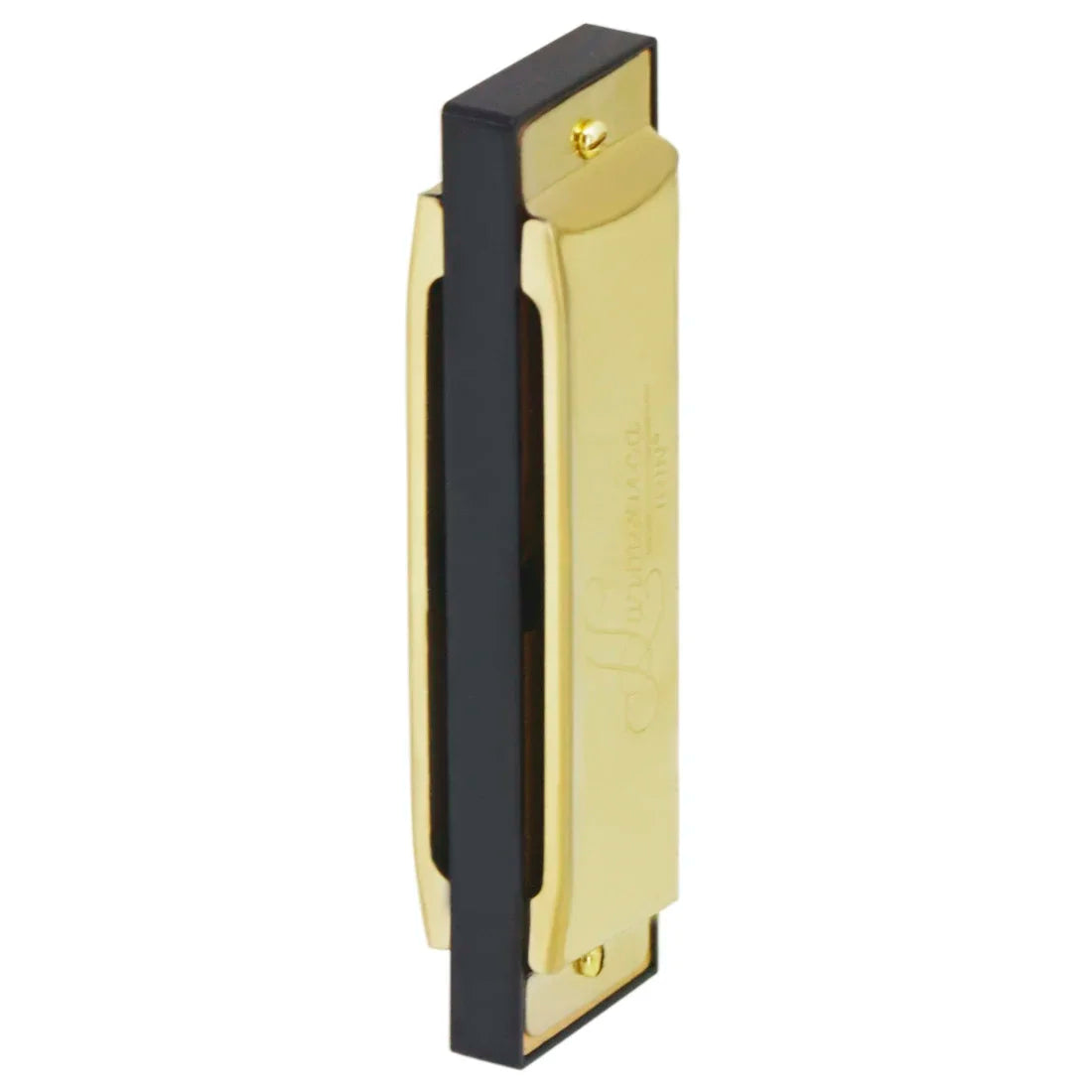 Gold-colored hohner harmonica mouth organ with black plastic casing 10 hole 20 tones for music enthusiasts woodwind
